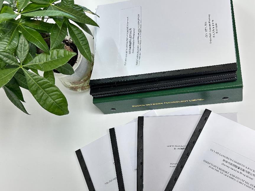 2024年香港公司審計報稅流程詳解