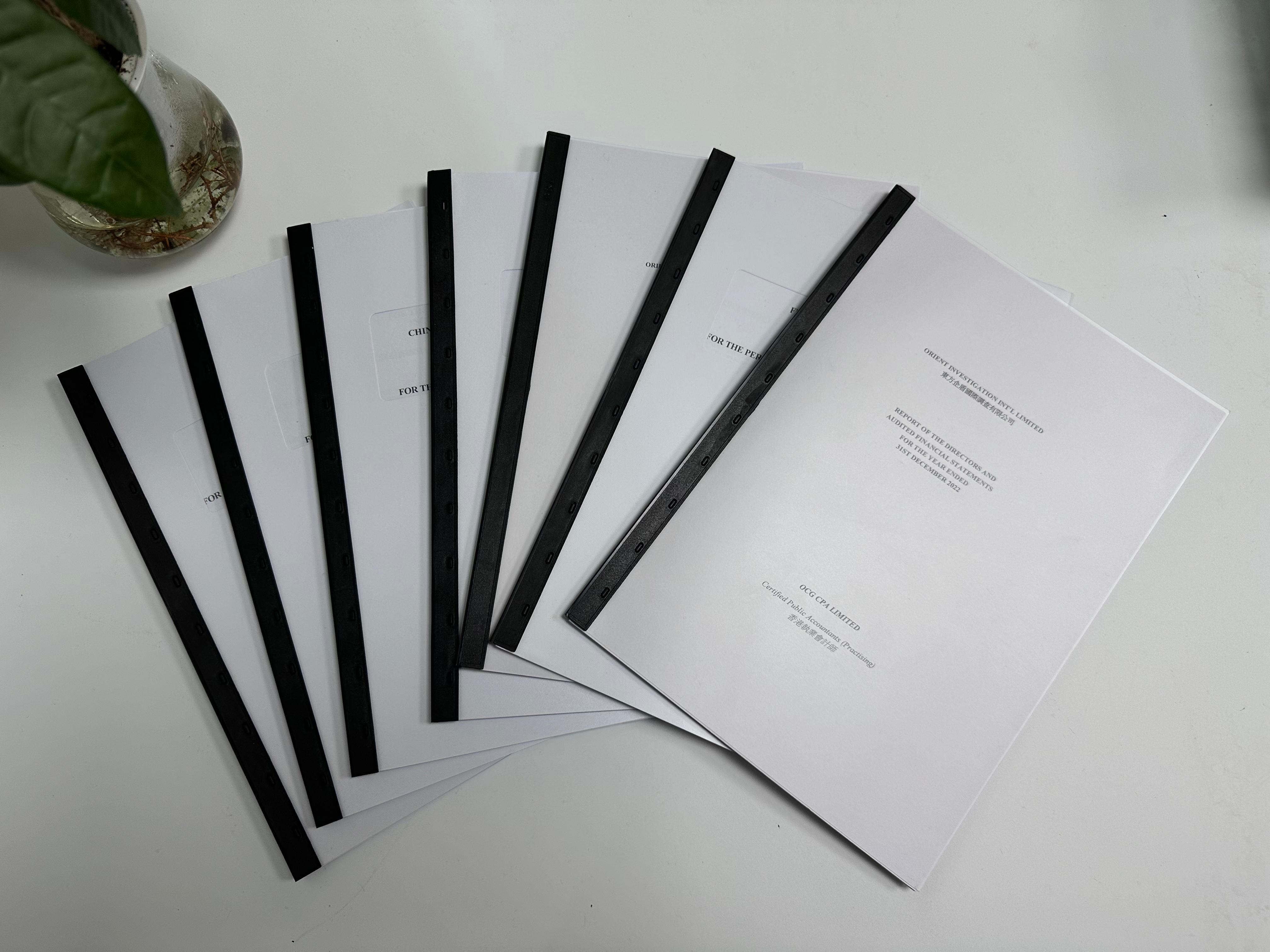 香港公司審計報告內容及會計師意見