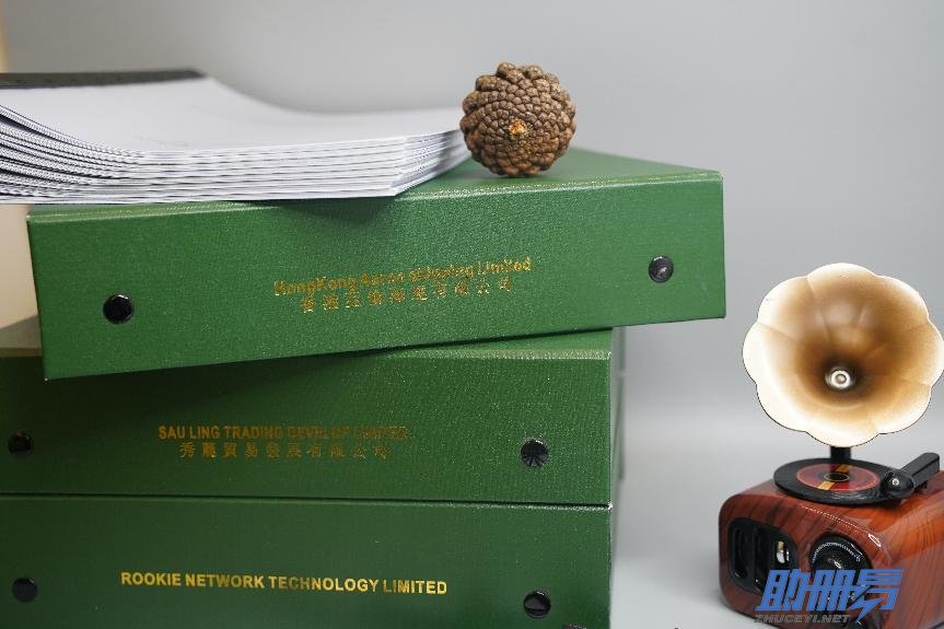 從準備到提交，詳析香港公司年審全流程！