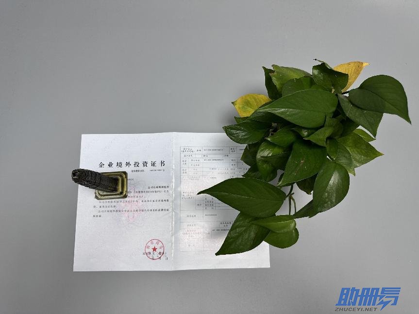 學(xué)會(huì)這3招，保你找到滿意的香港秘書公司！