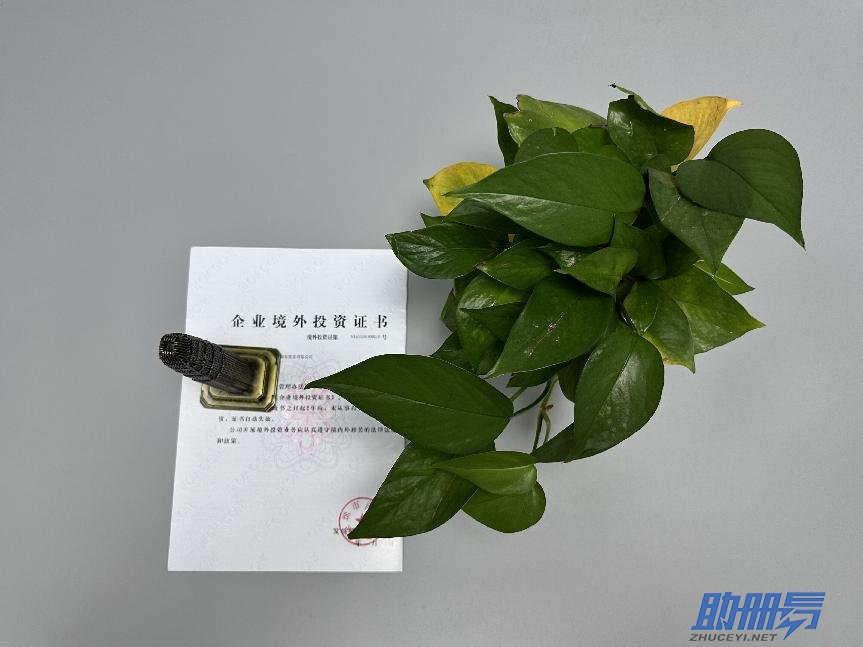 海外公司后期維護(hù)知識(shí)介紹！